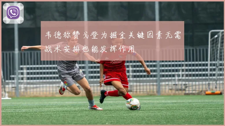 韦德称赞戈登为掘金关键因素无需战术安排也能发挥作用